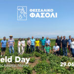 Field Day 29/6/2023 Λάρισα