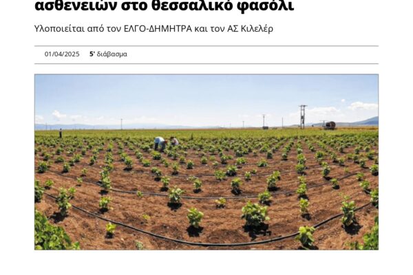 ypaithros_Πρόγραμμα για την αντιμετώπιση των ασθενειών στο θεσσαλικό φασόλι_page-0001